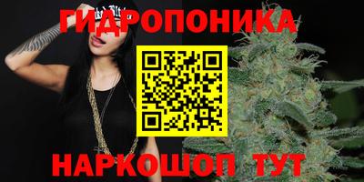 стафф Бузулук