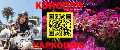 стафф Бузулук
