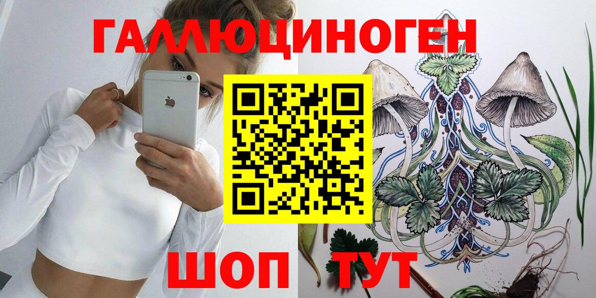 Псилоцибиновые грибы прущие грибы  Вход с VPN  где купить наркоту  Россошь 