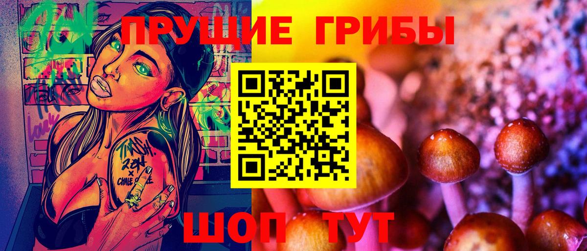Галлюциногенные грибы Psilocybine cubensis Россошь